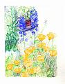 Equilibre fleuri